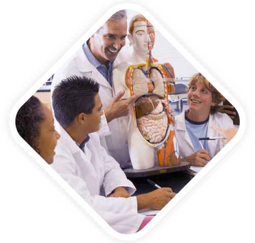 importance-of-igcse-biology