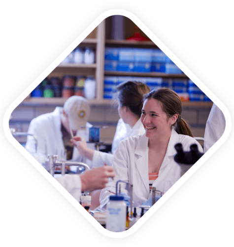 structure-of-ib-myp-chemistry