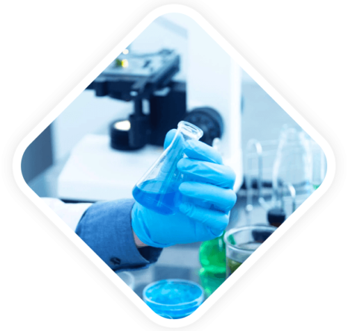 the-grading-rules-biology